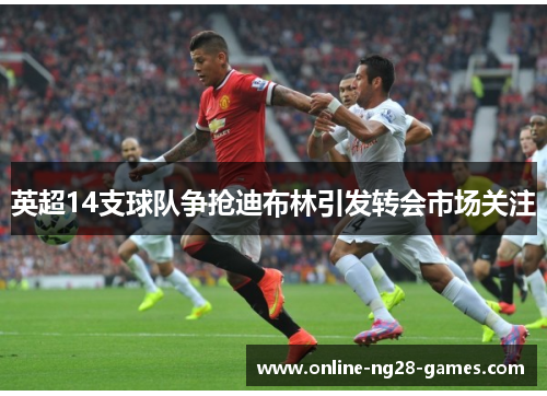 英超14支球队争抢迪布林引发转会市场关注